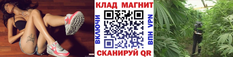 Купить закладку Cocaine  А ПВП  МЕФ  Гашиш  БУТИРАТ  Бошки Шишки  Пугачёв