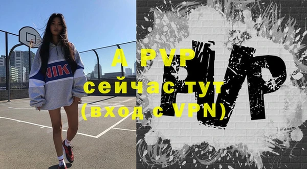 хмурый Вяземский