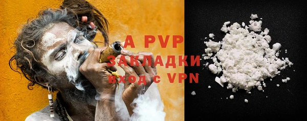 хмурый Вяземский