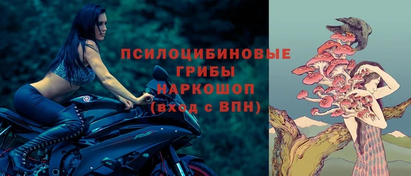 хмурый Вяземский