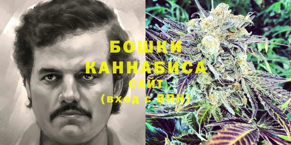 хмурый Вяземский